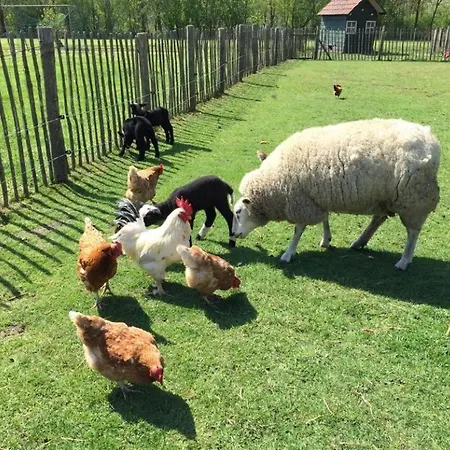 キャンプ場 De Peelweide *