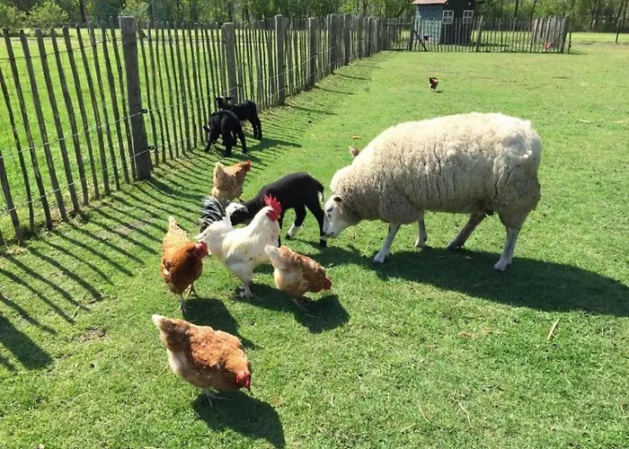 キャンプ場 De Peelweide *