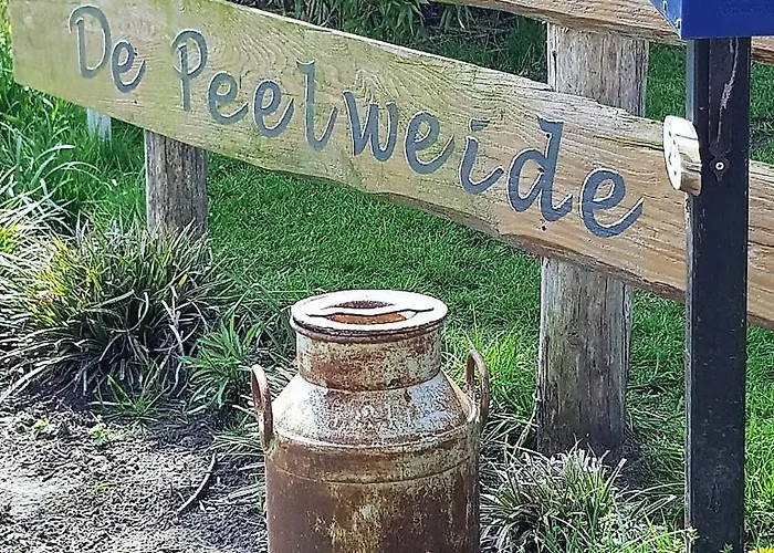 De Peelweide キャンプ場 Grashoek