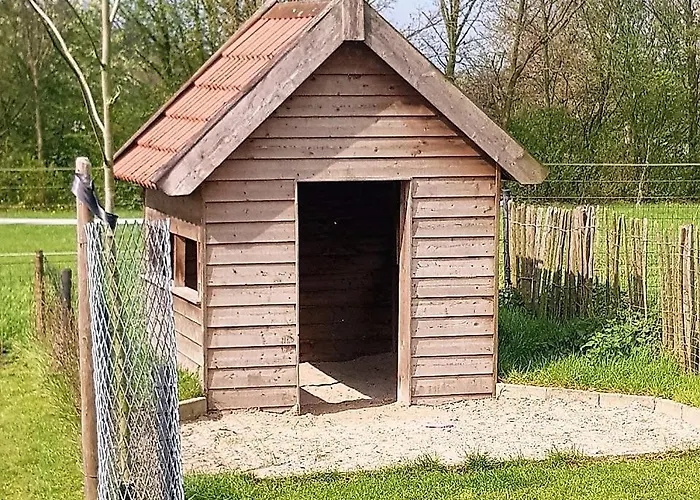 キャンプ場 De Peelweide Grashoek